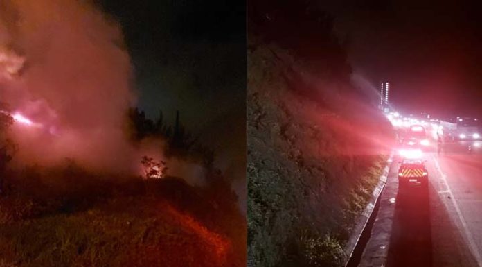 Incêndio florestal atinge às margens da BR-101 em Itapema