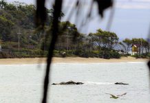 Conheça as três praias de Penha certificadas com a Bandeira Azul nesta temporada