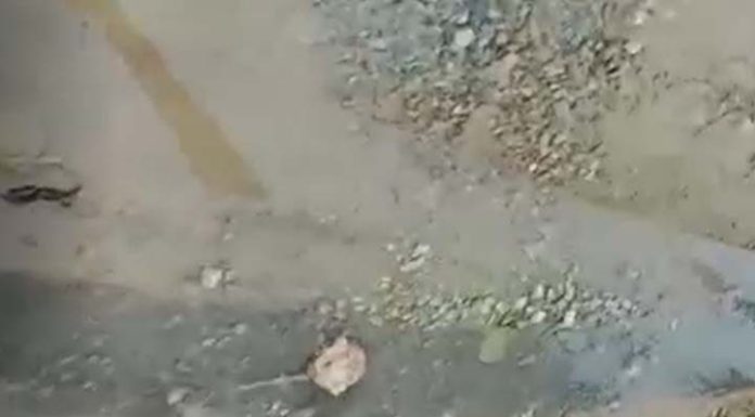 VÍDEO Moradores voltam a reclamar de esgoto a céu aberto na Rua Manoel Tolentino em Piçarras