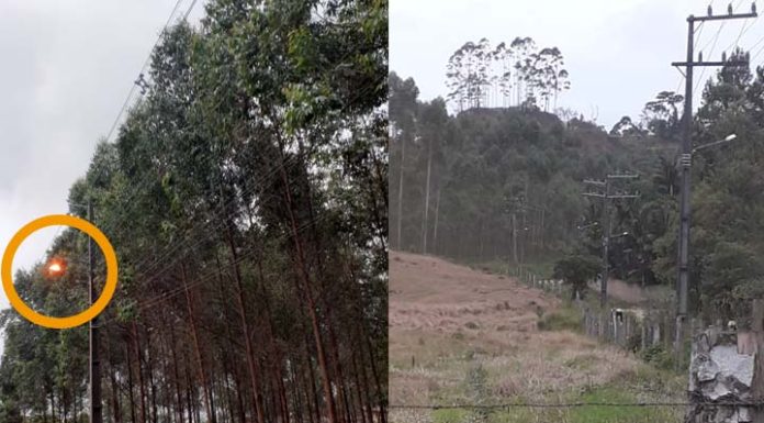 Plantação de eucalipto atinge fiação elétrica e deixa Bairro São Cristóvão às escuras