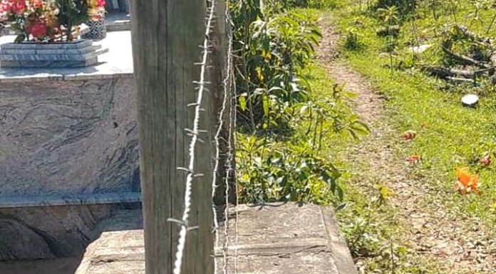 VÍDEO Familiares de mortos denunciam abandono do cemitério do Bairro Gravatá em Penha