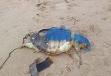 Moradores do Itacolomi reclamam da sujeira na orla da praia