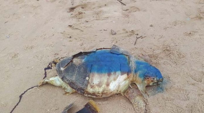 Moradores do Itacolomi reclamam da sujeira na orla da praia