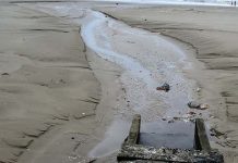 Demora para início das obras de saneamento em Penha afeta qualidade da água do mar