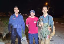 Bombeiros resgatam cachorrinho que caiu dentro da rede de água em Itajaí