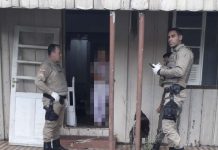 Doze cães em situação de maus-tratos são resgatados e tutora é presa pela Polícia