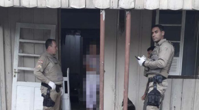 Doze cães em situação de maus-tratos são resgatados e tutora é presa pela Polícia