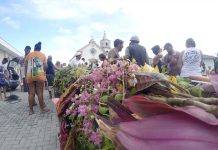 Ritual do Mastro de São Sebastião movimenta cultura e fé neste final de semana