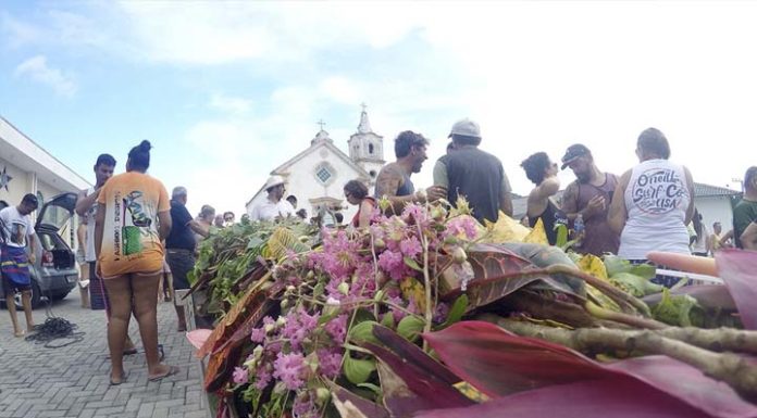 Ritual do Mastro de São Sebastião movimenta cultura e fé neste final de semana