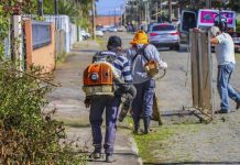 Prefeitura de Barra Velha realiza mutirão de limpeza na Quinta dos Açorianos