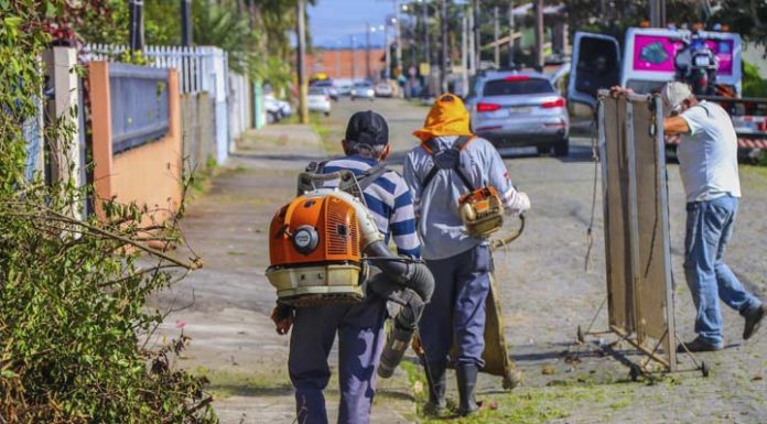 Prefeitura de Barra Velha realiza mutirão de limpeza na Quinta dos Açorianos