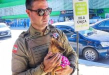 PM resgata cachorro deixado dentro de carro estacionado no sol em Balneário Camboriú