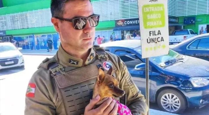 PM resgata cachorro deixado dentro de carro estacionado no sol em Balneário Camboriú
