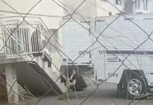 Crueldade: Neta é acusada de matar a própria avó em Itajaí