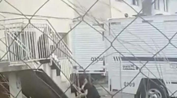 Crueldade: Neta é acusada de matar a própria avó em Itajaí