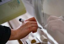 Pesquisa de preços do Procon aponta 247% de diferença nas mensalidades escolares na Grande Florianópolis