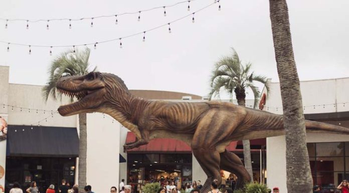 Réplicas de dinossauros remontam período jurássico em exposição interativa no Porto Belo Outlet Premium