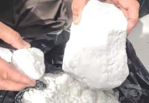 Homem preso com 4,5 quilos de cocaína diz que a droga era para consumo