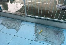 Adolescente é esfaqueado na escola e prefeitura de Itapema promete licitar aparelhos detectores de metais na rede de ensino