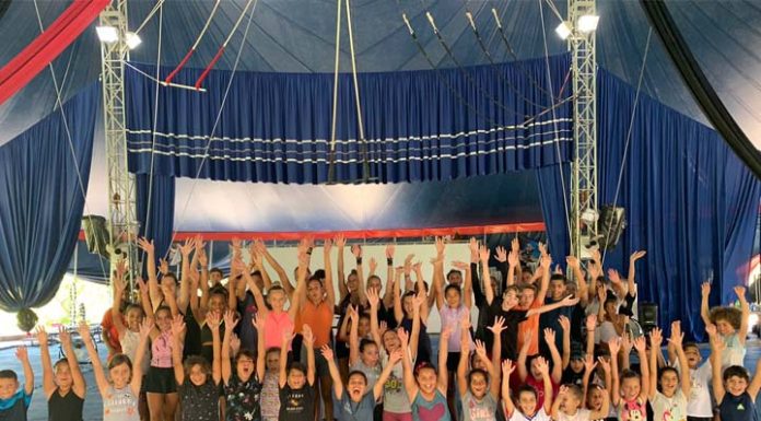 Instituto Beto Carrero busca por doadores de IR
