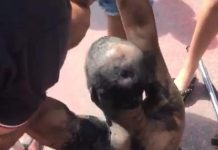 Homem é resgatado depois de passar um dia escondido dentro de um bueiro