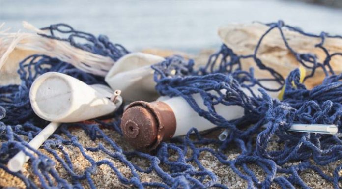 Águas de Penha alerta: lixo na praia também causa impacto negativo na sociedade