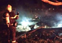 Dois cavalos morrem e um se salva durante incêndio no Bairro Santa Lídia