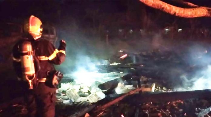 Dois cavalos morrem e um se salva durante incêndio no Bairro Santa Lídia