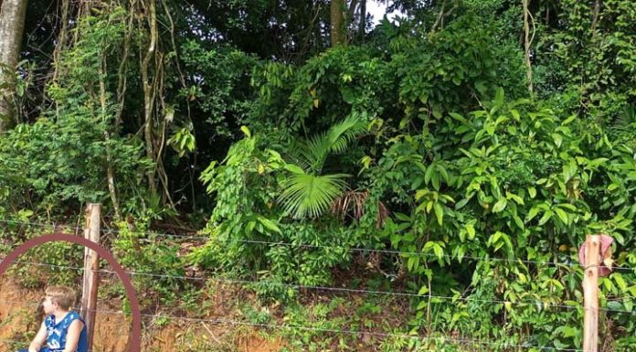 Cerca de arame farpado no Loteamento G. Lafitte aumenta riscos de acidente com crianças