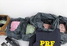 37 mil comprimidos de ecstasy são apreendidos em carro de luxo na BR-470