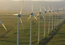 Quase 100% da energia das concessionárias de Penha, Camboriú, Bombinhas e São Francisco vem de fontes renováveis