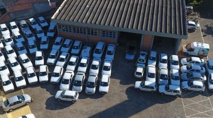 Com lances a partir de R$ 5,7 mil, Epagri realiza leilão em SC; veja como funciona