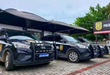 Adolescente investigado por matar vítima com tiros e golpes de facão é apreendido em SC