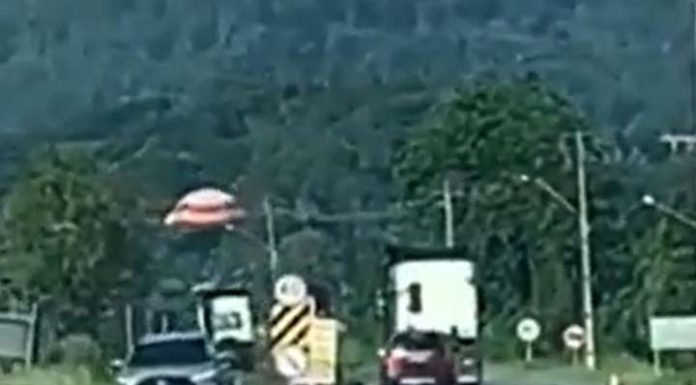 Avião com 5 pessoas cai em campo de arroz em SC e paraquedas ameniza queda