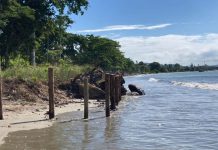 Construtora Rôgga destrói restinga e bloqueia passagem na Praia do Manguinho