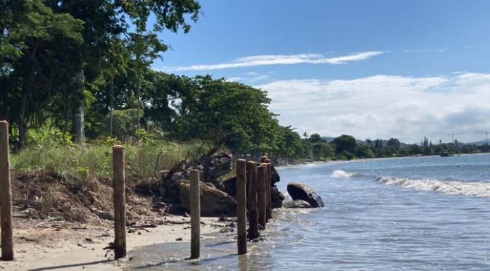 Construtora Rôgga destrói restinga e bloqueia passagem na Praia do Manguinho