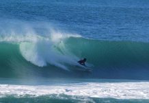 Surfe durante a safra da tainha é liberado em Floripa