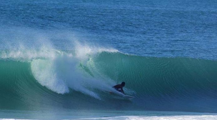 Surfe durante a safra da tainha é liberado em Floripa