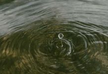 Você já ouviu falar em pegada hídrica