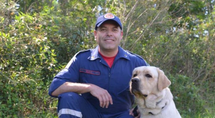 Cabo Küll e cão Nick dos bombeiros de Itapema são certificados para atuar na varredura e ajudar na localização de restos mortais