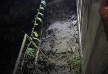 Criança de 11 anos morre eletrocutada em fios elétricos contra cães