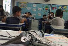 Balneário Piçarras conscientiza alunos da rede municipal de ensino sobre prevenção da dengue