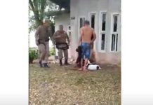 Cachorro é morto a facadas por defender a dona das agressões do namorado