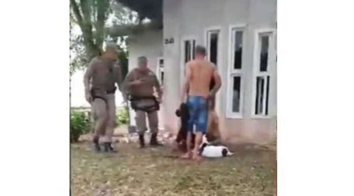 Cachorro é morto a facadas por defender a dona das agressões do namorado