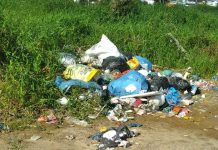 Mau cheiro e presença de ratos atormenta vida de moradora de Piçarras