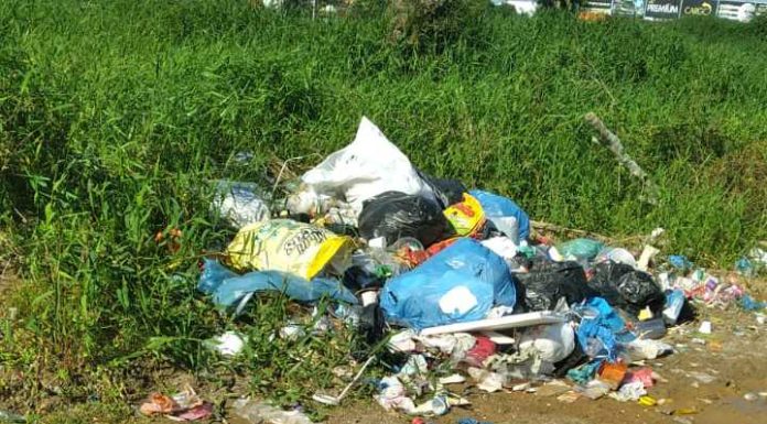 Mau cheiro e presença de ratos atormenta vida de moradora de Piçarras