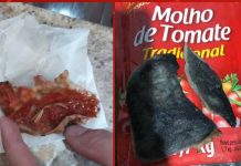 Fungos e ovos de parasita são encontrados em marca de molho de tomate