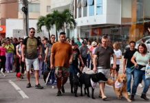 Inscrições para apoiadores da CÃOMINHADA estão abertas