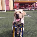 WhatsApp Image 2023 05 02 at 09.44.33 1