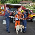 WhatsApp Image 2023 05 02 at 09.44.34